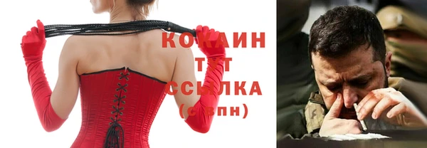 соль ск Алексин