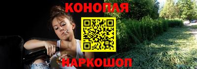 трава Кингисепп