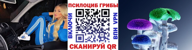 где купить наркоту  hydra как зайти  Псилоцибиновые грибы Magic Shrooms  Кызыл 